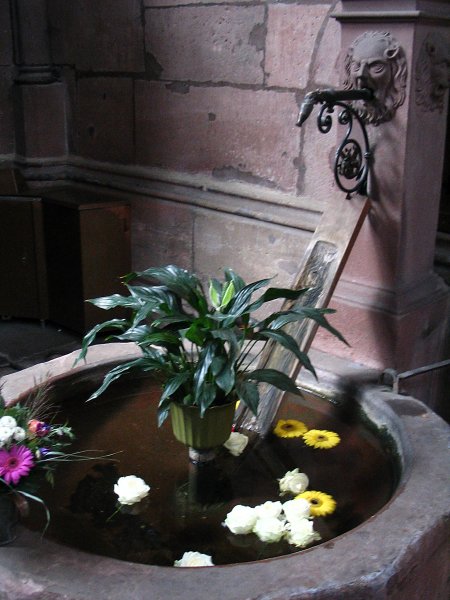 Freiburg 2008