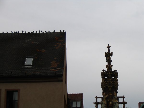 Freiburg 2008