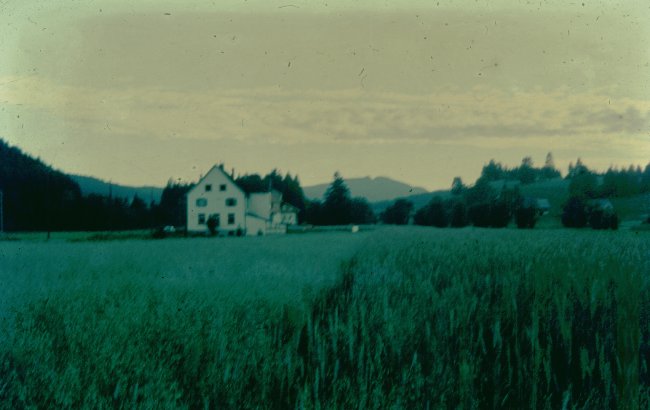 Hochzeit 1960