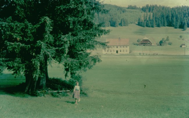 Hochzeit 1960