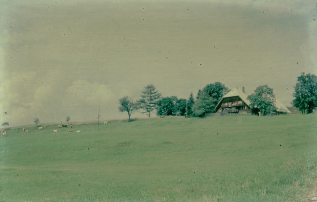Hochzeit 1960