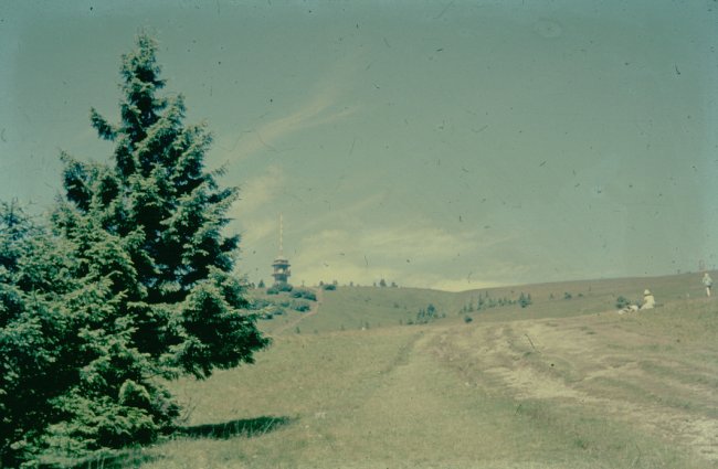 Hochzeit 1960