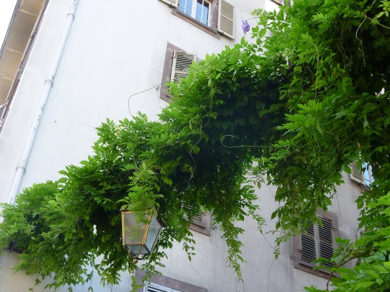 Stra&szlig;burg 2011