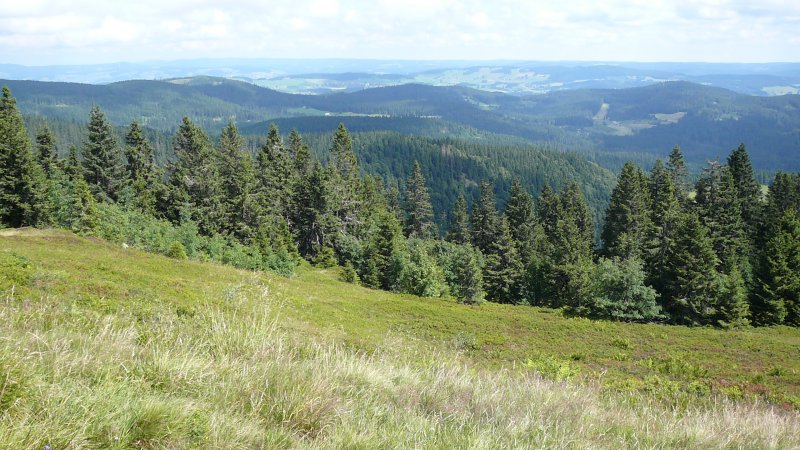 Titisee 2010