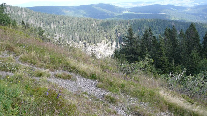 Titisee 2010