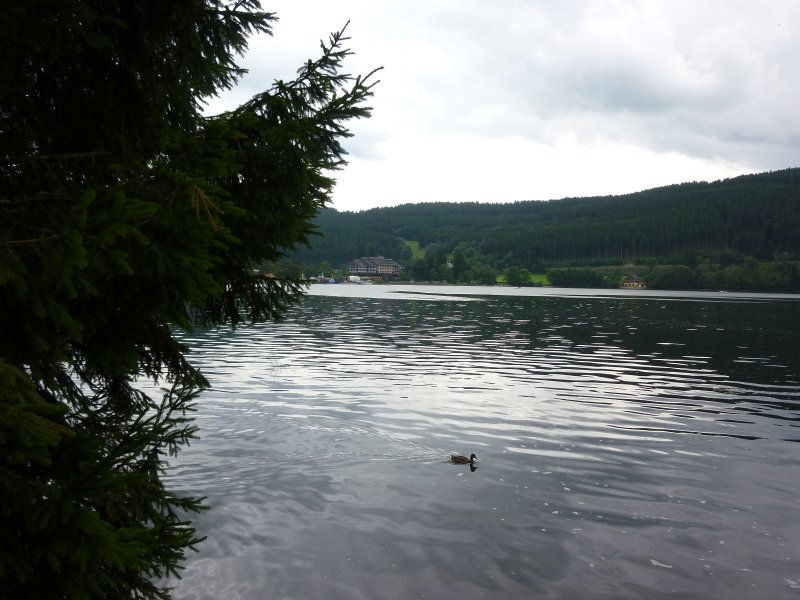 Titisee 2010