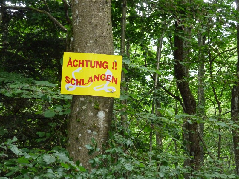 Titisee 2010